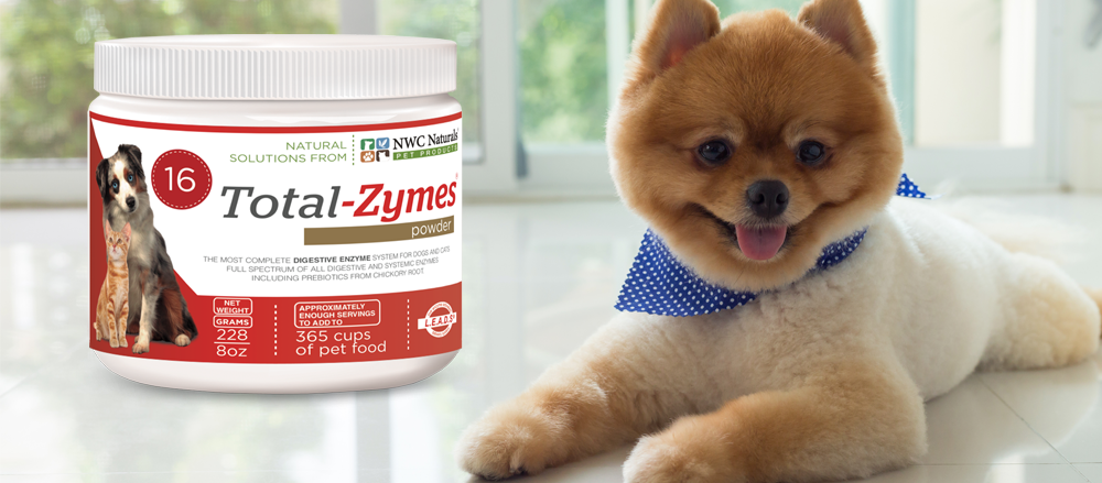 enzymes for pets