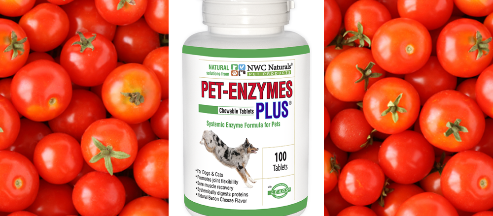 pet enzymes plus