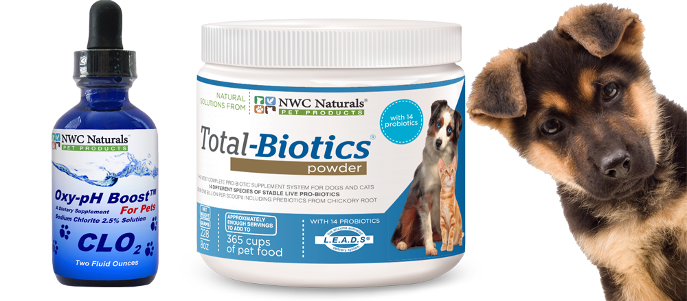 probiotics for pets