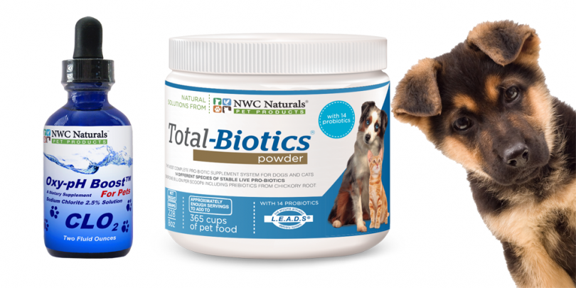 probiotics for pets