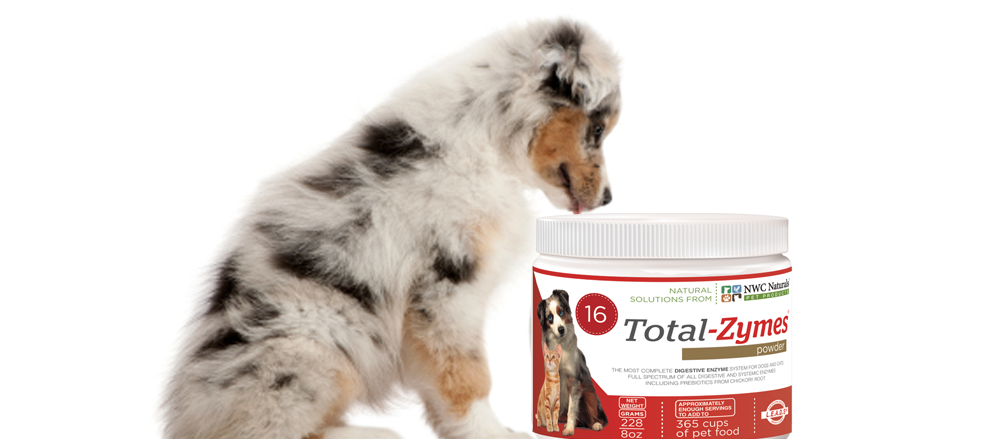 enzymes for dogs