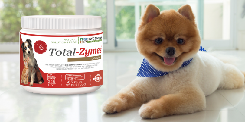 enzymes for pets