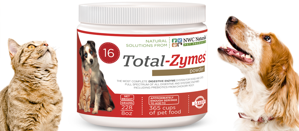 enzymes for pets