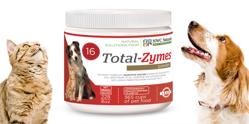 enzymes for pets