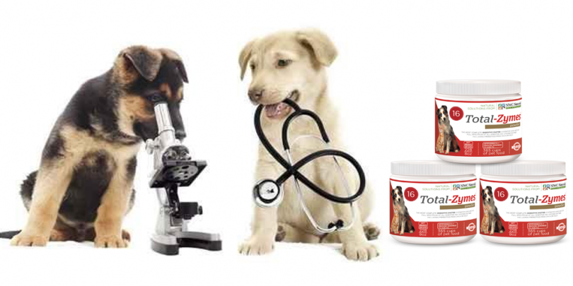 enzymes for pets