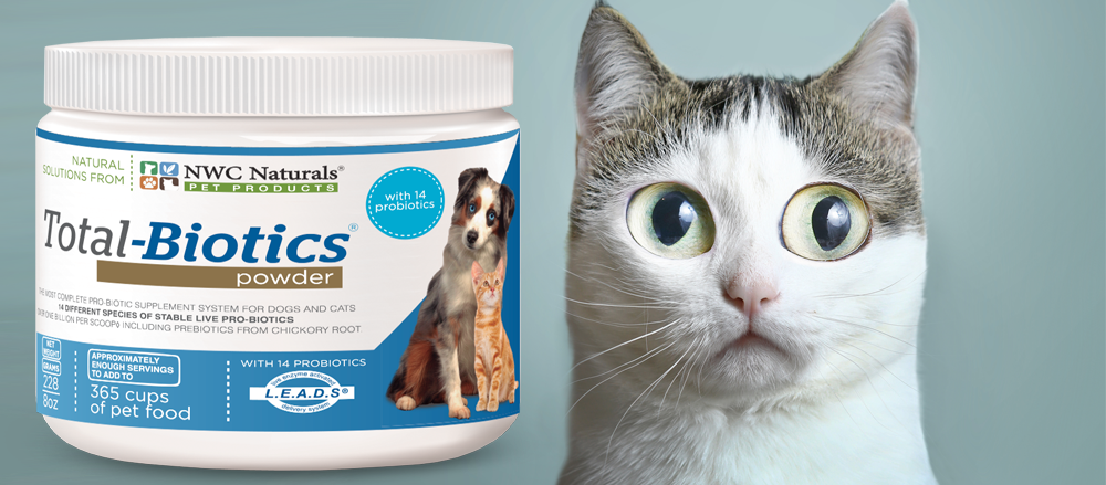 probiotics for pets