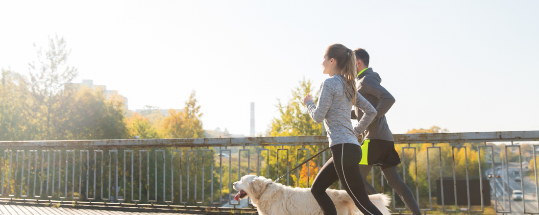 exercise with pets