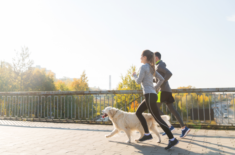 exercise with pets