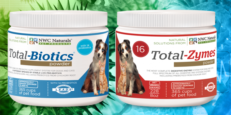 digestive enzymes for pets