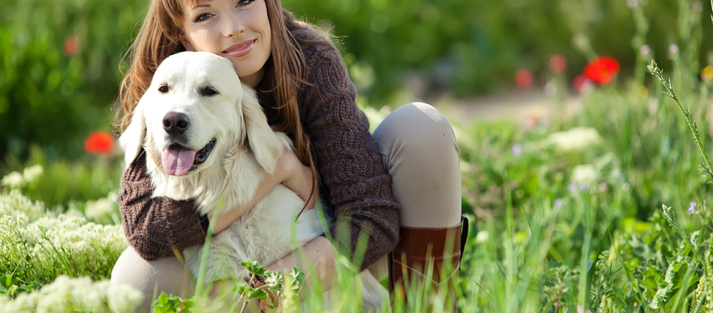 probiotics for dogs