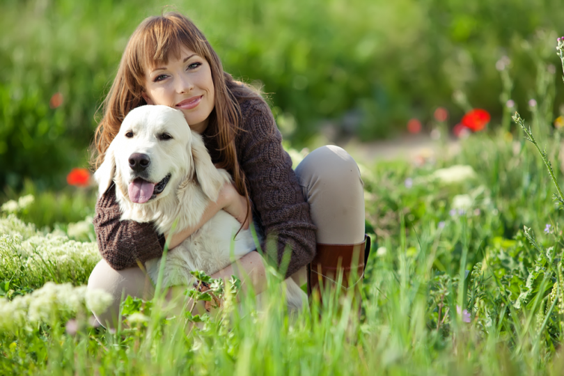 probiotics for dogs